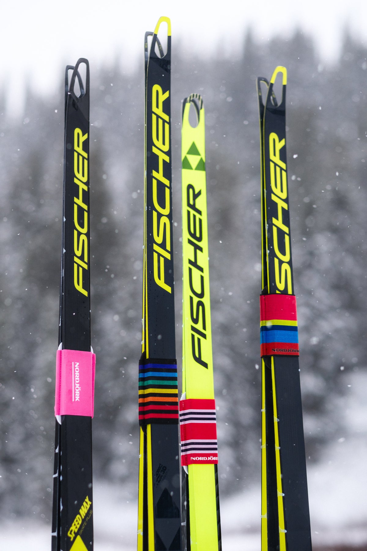 Ski Ties