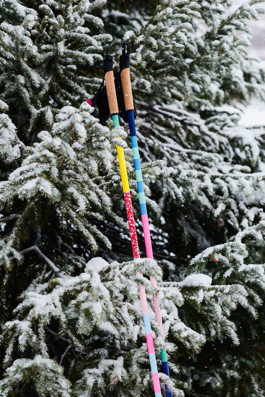 CURTIS BULLOCK Poles
