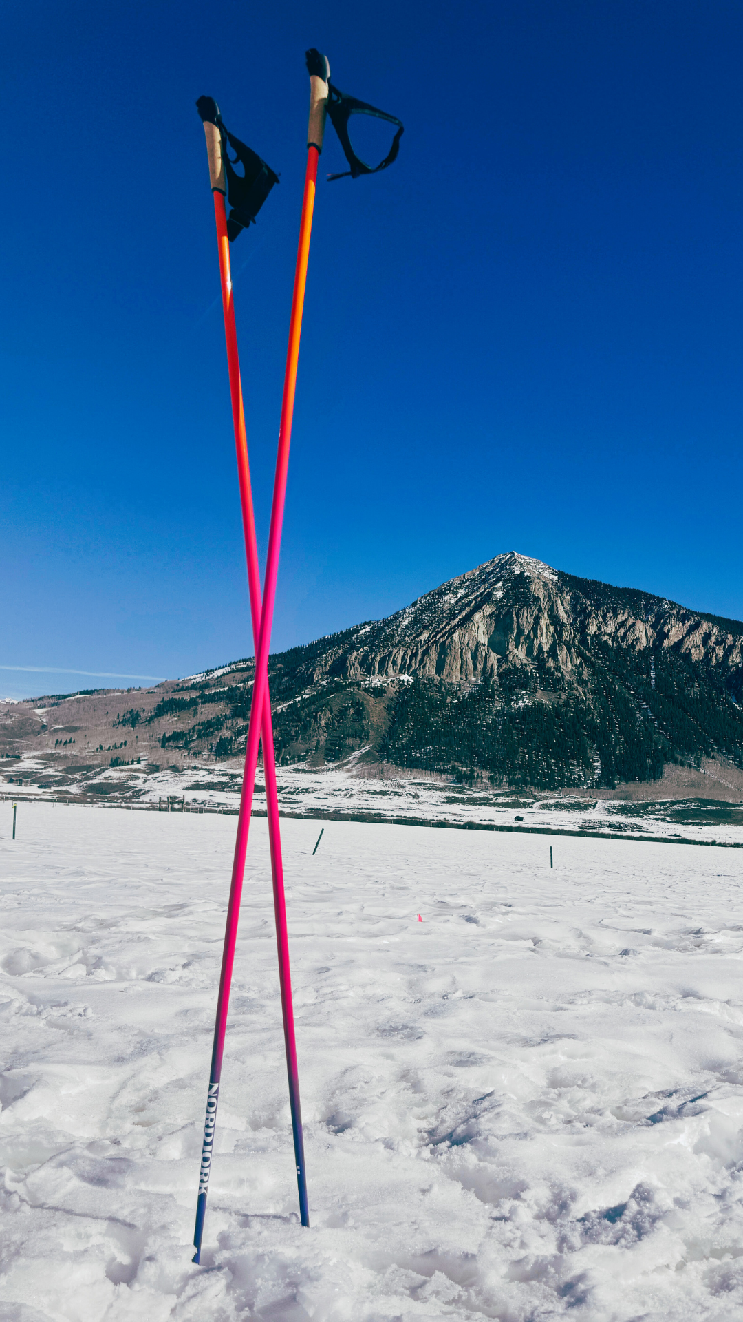 Tequila Sunrise :: Ombre Poles