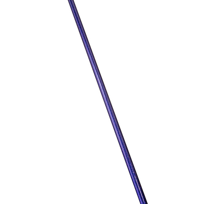 Poisonberry :: Holographic Glitter Pole