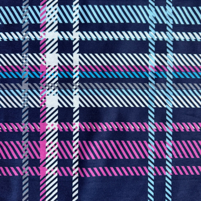 The Plaid image 3